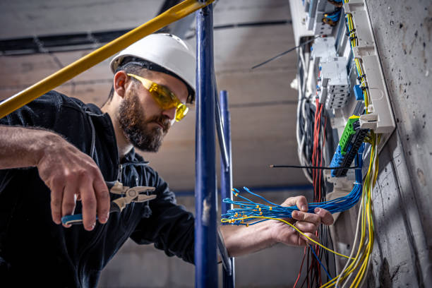 Best Electrician for Home Renovation  in Albany, MN