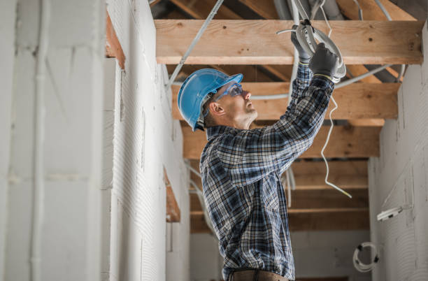 Best Electrical Troubleshooting Services  in Albany, MN