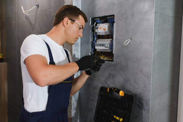 Best Electric Panel Repair  in Albany, MN
